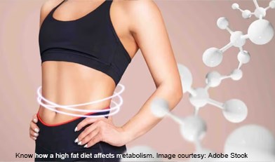Is your high-fat diet damaging your metabolism?